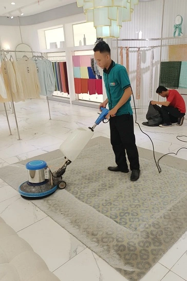 jasa cuci karpet